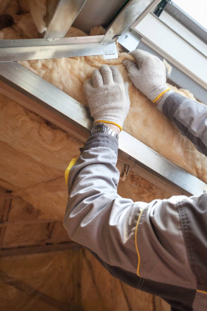 Best Geographic-Specific Insulation Services in Flossmoor, IL